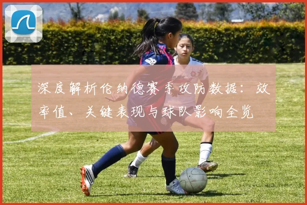 深度解析伦纳德赛季攻防数据：效率值、关键表现与球队影响全览